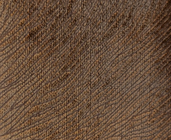 feather 77 bruin